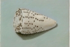 18 '..shell on green' 12.5 x 15.5 cm 1995