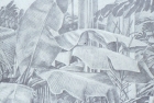 2 'Stewart Park Conservatory' pencil 37 x 39 cm 1993
