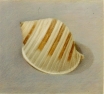 20 'Scotch Bonnet shell' pastel 18 x 20 cm 1994 (Private collection)