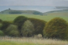 23 'Sussex Downs with Belle Tout lighthouse' pastel 20 x 35 cm 2004