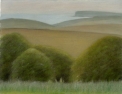 24 'Sussex Downs with Seaford Head' pastel 17.5 x 23 cm 2001 (Private collection)