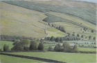 29 'Raydaleside' pastel 63 x 96 cm 1995