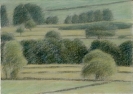 30 'Wensleydale near Constable Burton study' pastel 12.5 x 20 cm 1994