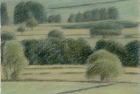 30 'Wensleydale near Constable Burton study' pastel 12.5 x 20 cm 1994