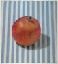 30-pomegranate-pastel-18-x-20-cm-1994