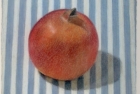 30-pomegranate-pastel-18-x-20-cm-1994