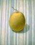 PSL04 'Gourd' pastel 20 x 25 cm 1994