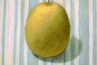 PSL04 'Gourd' pastel 20 x 25 cm 1994