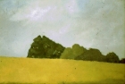 OL035 \'Wiston landscape study\' oil on canvas 24 x 36 cm 1979