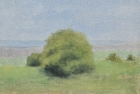 OL079-Tree-Waldridge-Fell-oil-on-canvas-board-13-x-17.5-cm-1988