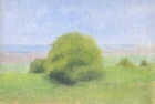 OL081 \'Tree study, Waldridge Fell\' oil on cotton canvas board 13 x 17.5 cm 1988