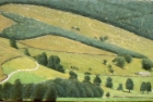 OL127 'Raydaleside' oil on canvas 12 x 24 cm 1995 (Private collection)