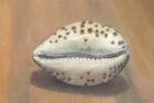 OSL005 \'Cowrie shell\' oil on board 21 x 30 cm 1976