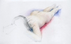 19 \'Life drawing colour study\' colour pencil 40 x 60 cm 2007