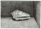26 E10 'Shell' etching and aquatint, plate 10 x 14 cm 1985