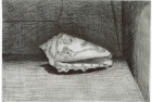 26 E10 'Shell' etching and aquatint, plate 10 x 14 cm 1985