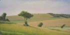 OL147-went-hill-near-east-dean-oil-on-canvas-17-5-x-35-cm-2007-private-collection