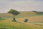 OL147-went-hill-near-east-dean-oil-on-canvas-17-5-x-35-cm-2007-private-collection