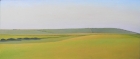 11 OL192 \'Willingdon Hill from Beachy Head\' oil on canvas 30 x 70 cm 2014