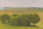 15 OL177 \'Birling Gap from Beachy Head\' 30 x 50 cm 2011