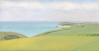 19 OL158 \'Birling Gap and Seaford Head\' oil on canvas 15 x 30 cm 2010 (Private collection)