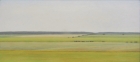 2 OL203 \'Sussex Downs near Beachy Head\' oil of canvas 23 x 50.5 cm 2016