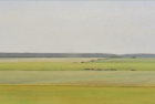 2 OL203 \'Sussex Downs near Beachy Head\' oil of canvas 23 x 50.5 cm 2016
