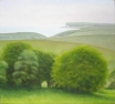 28 OL142 \'Sussex Downs near Birling Gap\' 46 x 51 cm 2006