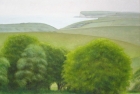 28 OL142 \'Sussex Downs near Birling Gap\' 46 x 51 cm 2006
