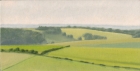 30 OL135 \'Sussex Downs nr East Dean\' oil on canvas 15 x 29 cm 2003 (Private collection)