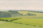 30 OL135 \'Sussex Downs nr East Dean\' oil on canvas 15 x 29 cm 2003 (Private collection)