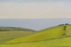 6 OL199 \'Birling Gap from Warren Hill\' oil on canvas 20 x 35 cm 2015