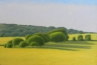 9 OL194 \'Warren Hill from Beachy Head\' oil on canvas 20 x 30 cm 2015