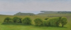 OL187-Belle-Tout-and-Seaford-Head-study-oil-on-canvas-17-x-40-cm-2013