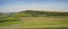 OL230-Cradle-Hill-II-oil-on-canvas-46-x-110-cm-2019