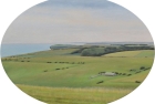 OL232-Seaford-Head-from-Beachy-Head-oval-oil-on-canvas-44.5-x-61-cm-2020