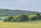 OL234-Warren-Hill-trees-study-oil-on-canvas-19-x-31-cm-2021