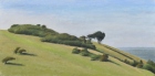 OL252-Combe-Hill-oil-on-canvas-26.5-x-53-cm-2024