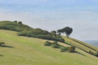 OL252-Combe-Hill-oil-on-canvas-26.5-x-53-cm-2024