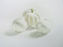 2 'White gourd and onions' watercolour 30 x 40 cm 2017