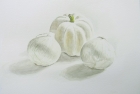 2 'White gourd and onions' watercolour 30 x 40 cm 2017